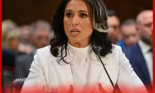 ਤੁਲਸੀ ਗੈਬਾਰਡ ਰਾਸ਼ਟਰੀ ਖੁਫੀਆ ਵਿਭਾਗ ਦੇ ਡਾਇਰੈਕਟਰ ਨਿਯੁਕਤ