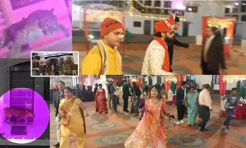 ਚਲਦੇ ਵਿਆਹ ਪ੍ਰੋਗਰਾਮ ਦੌਰਾਨ ਪੈਲੇਸ ’ਚ ਵੜਿਆ ਤੇਂਦੂਆ