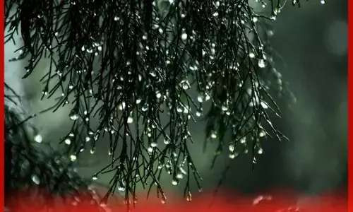 ਪੰਜਾਬ ਚ ਅੱਜ ਭਾਰੀ ਮੀਂਹ ਦਾ ਯੈਲੋ ਅਲਰਟ