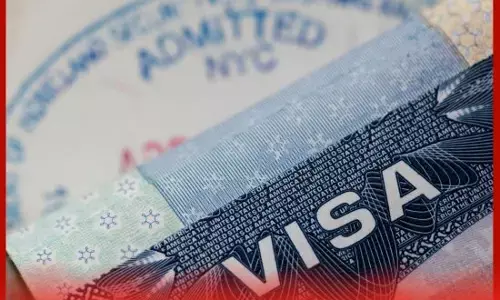 Action : ਪੰਜਾਬ ਵਿੱਚ ਇਮੀਗ੍ਰੇਸ਼ਨ ਸੈਂਟਰਾਂ ਦੀ ਜਾਂਚ ਤੇਜ਼