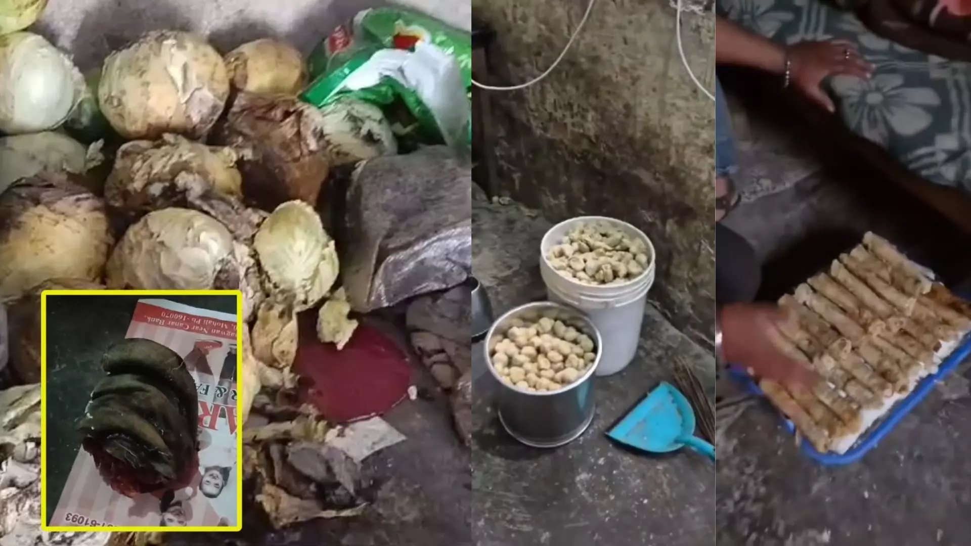 MOHALI : ਨਾਨਵੈੱਜ ’ਚ ਖੁਆਇਆ ਜਾ ਰਿਹਾ ਕੁੱਤੇ ਦਾ ਮੀਟ? ਫੈਕਟਰੀ ਦਾ ਪਰਦਾਫਾਸ਼