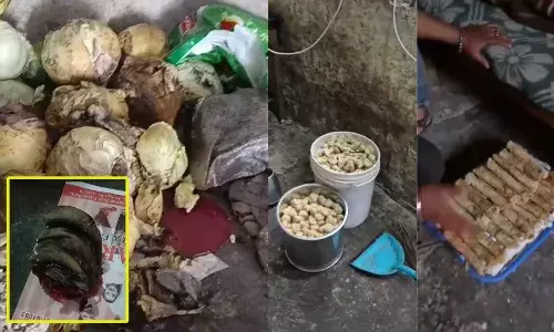 MOHALI : ਨਾਨਵੈੱਜ ’ਚ ਖੁਆਇਆ ਜਾ ਰਿਹਾ ਕੁੱਤੇ ਦਾ ਮੀਟ? ਫੈਕਟਰੀ ਦਾ ਪਰਦਾਫਾਸ਼