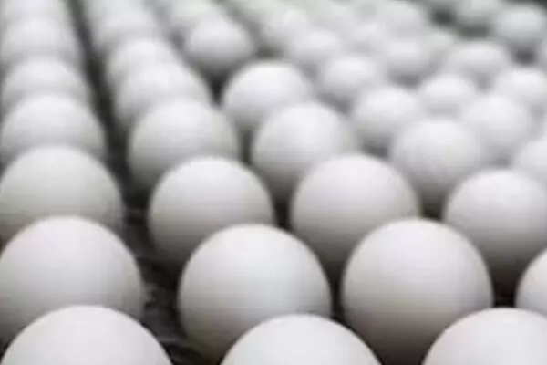 ਪ੍ਰਵਾਸੀਆਂ ਨੂੰ ਭੁੱਲ ਆਂਡਿਆਂ ਦੁਆਲੇ ਹੋਏ ਅਮਰੀਕਾ ਦੇ ਅਫਸਰ