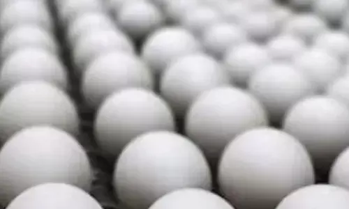 ਪ੍ਰਵਾਸੀਆਂ ਨੂੰ ਭੁੱਲ ਆਂਡਿਆਂ ਦੁਆਲੇ ਹੋਏ ਅਮਰੀਕਾ ਦੇ ਅਫਸਰ