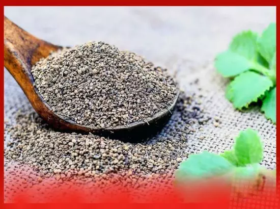 ਅਜਵਾਇਨ ਦੇ ਪੱਤਿਆਂ ਦੇ ਔਸ਼ਧੀ ਗੁਣ