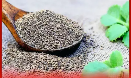 ਅਜਵਾਇਨ ਦੇ ਪੱਤਿਆਂ ਦੇ ਔਸ਼ਧੀ ਗੁਣ