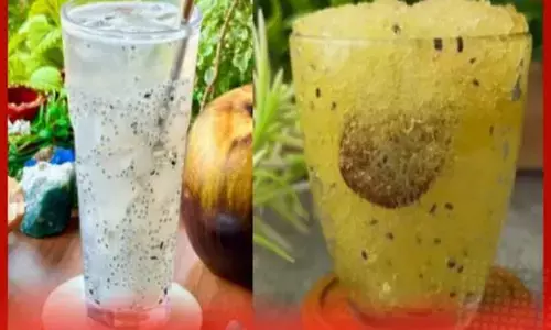 ਗਰਮੀ ਅਤੇ ਲੂ ਤੋਂ ਬਚਣ ਲਈ ਵਰਤੋਂ ਗੋਂਦ ਕਤੀਰਾ, ਸ਼ਰੀਰ ਨੂੰ ਮਿਲਦੀ ਹੈ ਠੰਢਕ