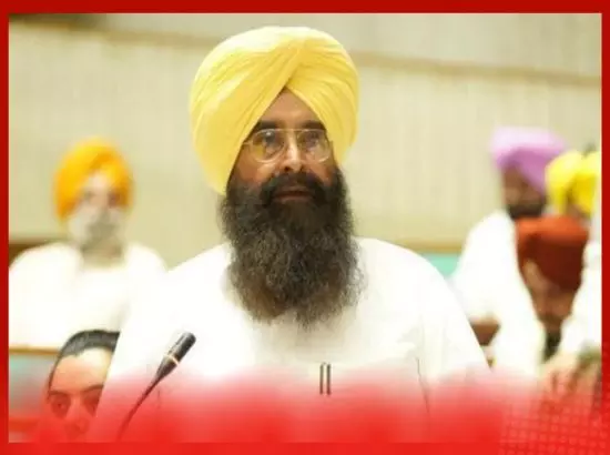 ਪੰਜਾਬ ਬਜਟ 2024-25: ਨਵੀਆਂ ਸਰਕਾਰੀ ਬੱਸਾਂ ਤੇ ਸੜਕ ਸੁਰੱਖਿਆ ‘ਤੇ ਖ਼ਾਸ ਧਿਆਨ