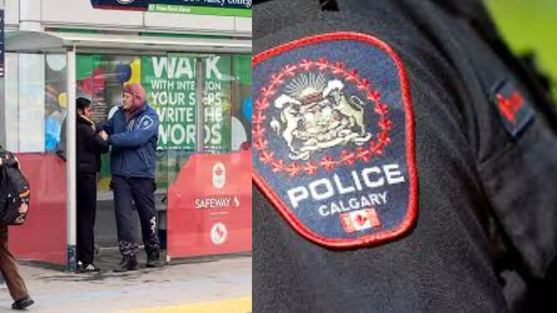 ਕੈਲਗਰੀ ’ਚ ਪੰਜਾਬੀ ਵਿਦਿਆਰਥਣ ’ਤੇ ਹਮਲਾ ਕਾਰਨ ਵਾਲਾ ਗ੍ਰਿਫ਼ਤਾਰ