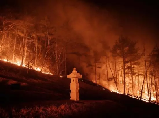 ਦੱਖਣੀ ਕੋਰੀਆ: ਭਿਆਨਕ ਅੱਗ, 18 ਮੌਤਾਂ, 1300 ਸਾਲ ਪੁਰਾਣਾ ਬੋਧੀ ਮੱਠ ਤਬਾਹ