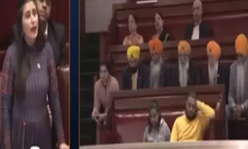 ਨਿਊ ਯਾਰਕ ਸੂਬੇ ਦੀ ਸੈਨੇਟ ਨੇ ਸਿਰਜਿਆ ਇਤਿਹਾਸ