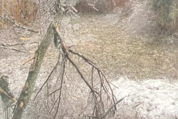 ਉਨਟਾਰੀਓ ਵਿਚ ਬਰਫ਼ੀਲਾ ਤੂਫ਼ਾਨ, 4 ਲੱਖ ਘਰਾਂ ਦੀ ਬਿਜਲੀ ਗੁੱਲ