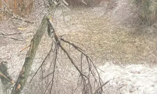 ਉਨਟਾਰੀਓ ਵਿਚ ਬਰਫ਼ੀਲਾ ਤੂਫ਼ਾਨ, 4 ਲੱਖ ਘਰਾਂ ਦੀ ਬਿਜਲੀ ਗੁੱਲ