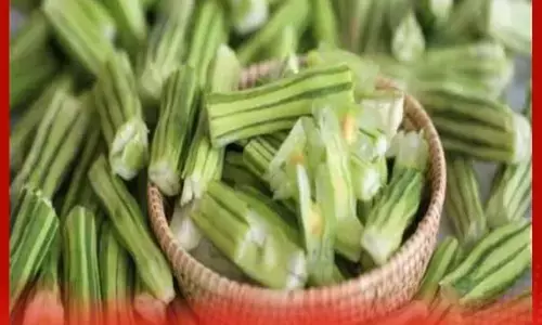 ਸੁਹੰਜਣਾ ਸੂਪ: ਸਿਹਤ ਲਈ ਇੱਕ ਪੌਸ਼ਟਿਕ ਤੇ ਇਮਿਊਨ ਬੂਸਟਿੰਗ ਵਿਕਲਪ