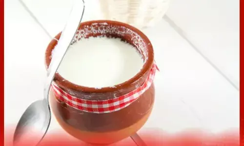 ਵਿਟਾਮਿਨ ਬੀ-12 ਦੀ ਕਮੀ ਦੂਰ ਕਰਨ ਲਈ ਦਹੀਂ ਨਾਲ ਖਾਓ ਇਹ ਚੀਜ਼ਾਂ