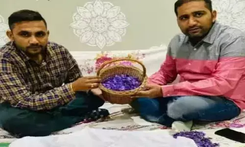 ਦੋ ਭਰਾਵਾਂ ਨੇ ਪੇਸ਼ ਕੀਤੀ ਮਿਸਾਲ, ਘਰ ਦੀ ਛੱਤ ਤੇ ਕੀਤੀ ਕੇਸਰ ਦੀ ਖੇਤੀ