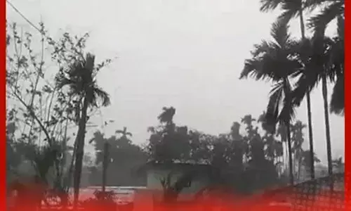 ਯੂਪੀ-ਬਿਹਾਰ ਵਿੱਚ ਮੀਂਹ-ਬਿਜਲੀ ਨੇ ਲਈਆਂ 83 ਜਾਨਾਂ