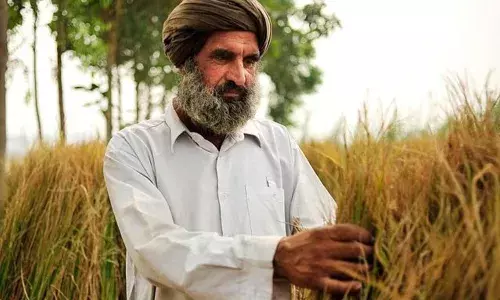 ਪੰਜਾਬ ਦੇ ਮੌਸਮ ਨੇ ਡਰਾਏ ਕਿਸਾਨ