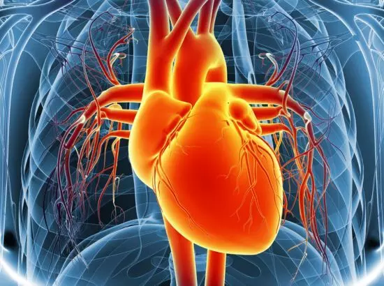 ਗਰਮੀਆਂ ਵਿੱਚ ਡੀਹਾਈਡਰੇਸ਼ਨ ਵਧਾ ਸਕਦੀ ਹੈ ਦਿਲ ਦੇ ਦੌਰੇ ਦਾ ਖ਼ਤਰਾ