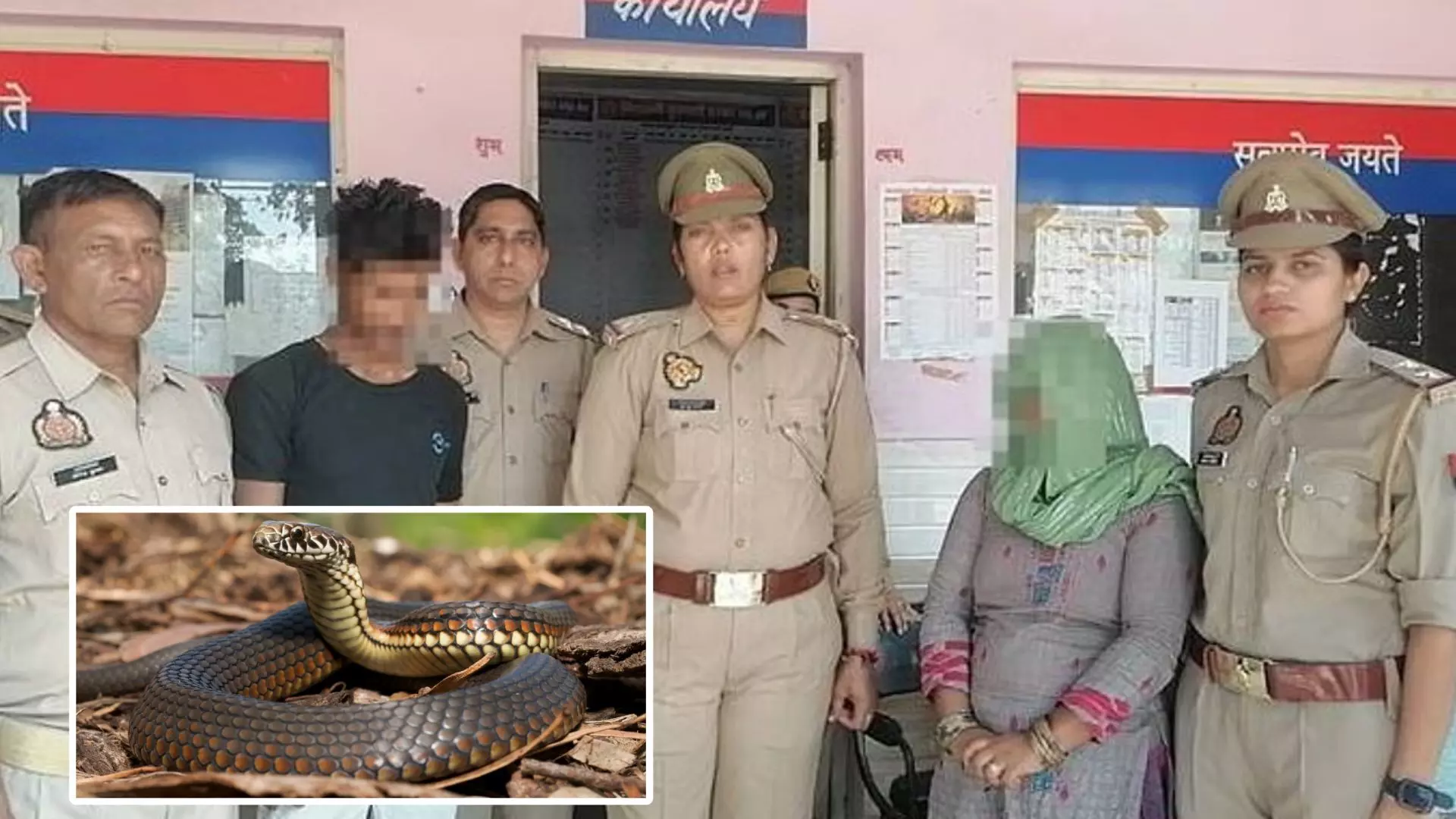 ਪਤਨੀ ਨੇ ਡੰਗਿਆ ਪਤੀ, ਇਲਜ਼ਾਮ ਲਾਇਆ ਸੱਪ ’ਤੇ!