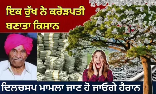 ਇਕ ਰੁੱਖ ਨੇ ਕਰੋੜਪਤੀ ਬਣਾਤਾ ਗ਼ਰੀਬ ਜਿਹਾ ਕਿਸਾਨ, ਹੈਰਾਨ ਕਰ ਦੇਵੇਗਾ ਮਾਮਲਾ