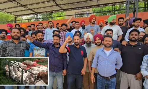 ਕੇਂਦਰ ਸਰਕਾਰ ਦਾ ਖੇਤੀ ਕਾਨੂੰਨਾਂ ਤੋਂ ਬਾਅਦ ਹੁਣ  DOG ਬ੍ਰੀਡਰਾਂ ਨੂੰ ਵੱਡਾ ਝਟਕਾ