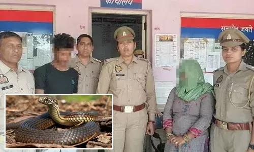 ਪਤਨੀ ਨੇ ਡੰਗਿਆ ਪਤੀ, ਇਲਜ਼ਾਮ ਲਾਇਆ ਸੱਪ ’ਤੇ!