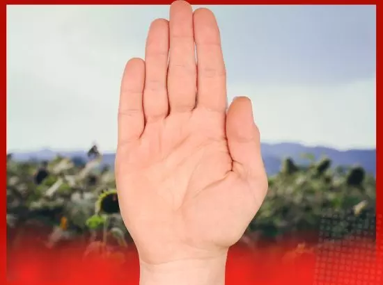 ਵਿਚਕਾਰਲੀ ਉਂਗਲੀ ਬਰਾਬਰ ਹੋਵੇ ਤਾਂ ਕੀ ਇਹ ਸ਼ੁੱਭ ਹੈ ਜਾਂ ਅਸ਼ੁੱਭ ? ਜਾਣੋ