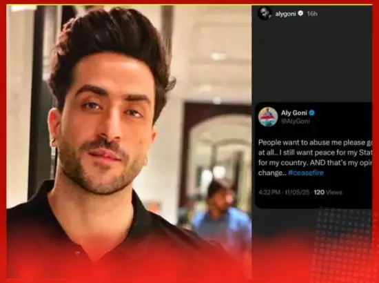 ਜੰਗਬੰਦੀ : ਅਦਾਕਾਰ ਐਲੀ ਗੋਨੀ ਨੇ ਟ੍ਰੋਲ ਹੋਣ ਤੇ ਦਿੱਤਾ ਢੁੱਕਵਾਂ ਜਵਾਬ