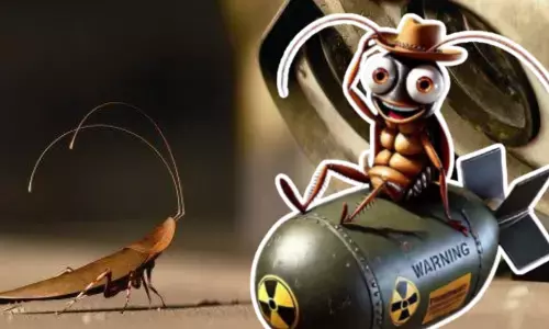 ਪਰਮਾਣੂ ਹਮਲੇ ਮਗਰੋਂ ਵੀ ਜ਼ਿੰਦਾ ਰਹਿਣਗੇ ਕਾਕਰੋਚ, ਜਾਣੋ ਕਿਉਂ?