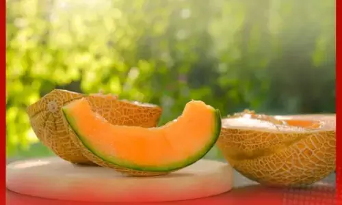 ਖਰਬੂਜਾ ਖਾਣ ਤੋਂ ਬਾਅਦ ਇਹ ਚੀਜ਼ਾਂ ਨਾ ਖਾਓ