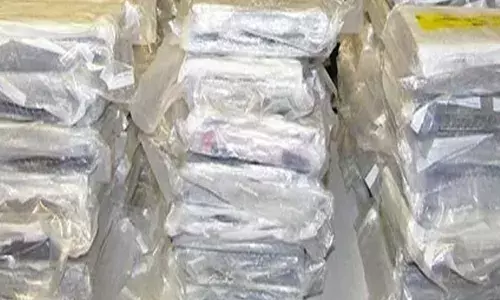 ਪੰਜਾਬੀ ਟਰੱਕ ਡਰਾਈਵਰ 30 ਲੱਖ ਡਾਲਰ ਦੀ ਕੋਕੀਨ ਸਣੇ ਕਾਬੂ