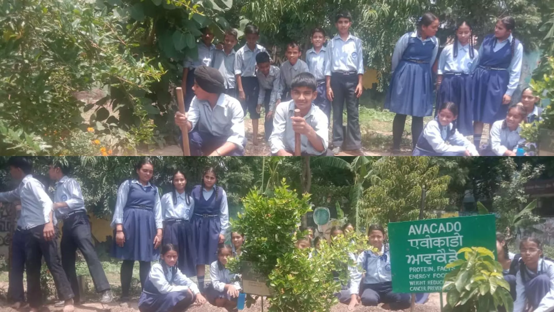 ਚੰਡੀਗੜ੍ਹ ਦੇ ਸਰਕਾਰੀ ਸਕੂਲਾਂ ਚ ਕਿਚਨ ਗਾਰਡਨਸ ਪ੍ਰੋਗਰਾਮ ਸ਼ੁਰੂ