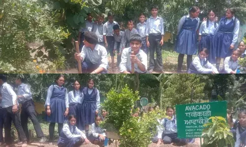 ਚੰਡੀਗੜ੍ਹ ਦੇ ਸਰਕਾਰੀ ਸਕੂਲਾਂ ਚ ਕਿਚਨ ਗਾਰਡਨਸ ਪ੍ਰੋਗਰਾਮ ਸ਼ੁਰੂ