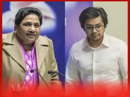 ਆਕਾਸ਼ ਆਨੰਦ ਦੀ BSP ਵਿੱਚ ਵਾਪਸੀ, ਮਾਇਆਵਤੀ ਨੇ ਦਿੱਤਾ ਇਹ ਵੱਡਾ ਅਹੁਦਾ