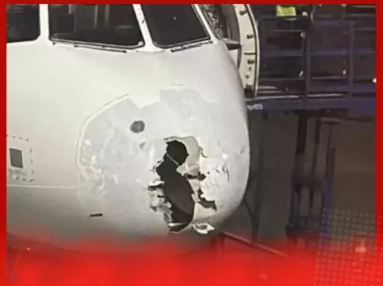 ਜਾਂਚ ਪੂਰੀ ਹੋਣ ਤੱਕ ਇੰਡੀਗੋ ਦੇ ਦੋਵੇਂ ਪਾਇਲਟ ਜਹਾਜ਼ ਨਹੀਂ ਉਡਾ ਸਕਣਗੇ