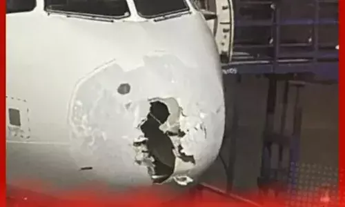 ਜਾਂਚ ਪੂਰੀ ਹੋਣ ਤੱਕ ਇੰਡੀਗੋ ਦੇ ਦੋਵੇਂ ਪਾਇਲਟ ਜਹਾਜ਼ ਨਹੀਂ ਉਡਾ ਸਕਣਗੇ