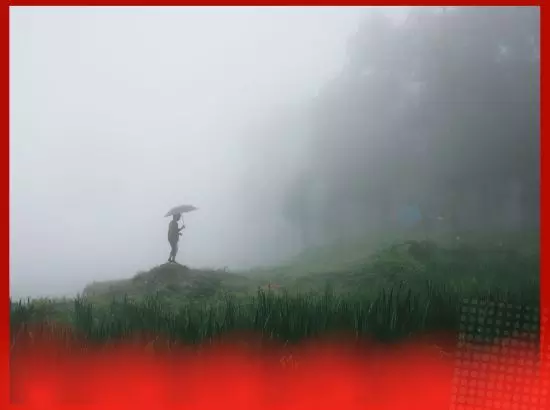 ਤੇਜ਼ੀ ਨਾਲ ਅੱਗੇ ਵਧ ਰਿਹਾ ਮੌਨਸੂਨ, ਕਿਹੜੇ ਰਾਜਾਂ ਵਿੱਚ ਪਹੁੰਚਿਆ ?