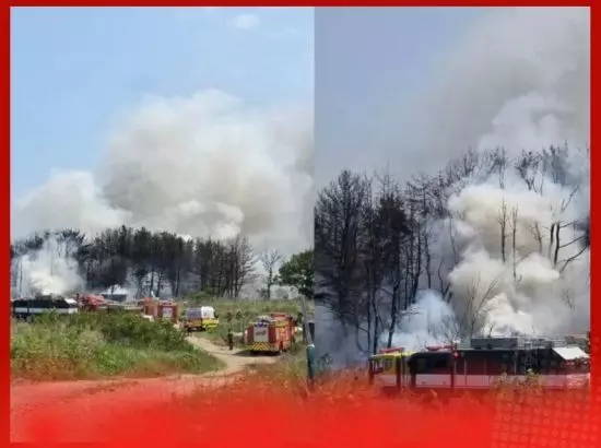 ਦੱਖਣੀ ਕੋਰੀਆਈ ਜਲ ਸੈਨਾ ਦਾ ਜਹਾਜ਼ ਹਾਦਸਾਗ੍ਰਸਤ