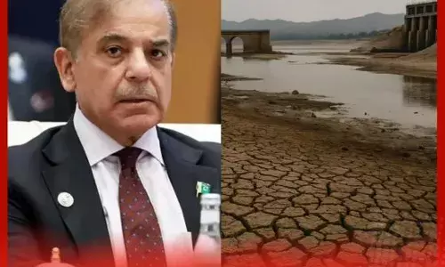 ਪਾਕਿਸਤਾਨ ਵਿੱਚ ਪਾਣੀ ਲਈ ਹਾਹਾਕਾਰ, ਫਸਲਾਂ ਦੀ ਬਿਜਾਈ ਮੁਸੀਬਤ ਵਿੱਚ