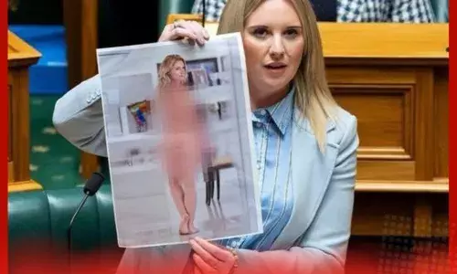 ਮਹਿਲਾ ਸੰਸਦ ਮੈਂਬਰ ਆਪਣੀ ਨਗਨ ਫੋਟੋ ਲੈ ਕੇ ਸੰਸਦ ਪਹੁੰਚੀ