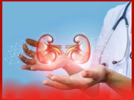 ਗੁਰਦੇ ਦੀਆਂ ਬਿਮਾਰੀਆਂ: ਲੱਛਣ, ਕਾਰਨ ਅਤੇ ਪਛਾਣ ਦੇ ਤਰੀਕੇ