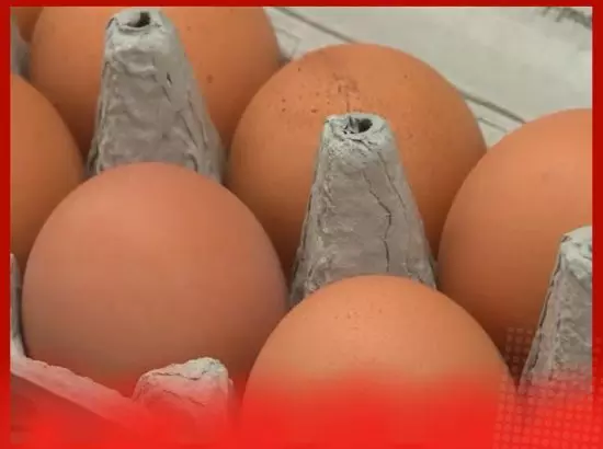 ਅਮਰੀਕਾ: ਆਂਡਿਆਂ ਚ ਸਾਲਮੋਨੇਲਾ ਬੈਕਟੀਰੀਆ, 1.7 ਮਿਲੀਅਨ ਆਂਡੇ ਵਾਪਸ ਮੰਗਵਾਏ ਅਮਰੀਕਾ: ਆਂਡਿਆਂ ਚ ਸਾਲਮੋਨੇਲਾ ਬੈਕਟੀਰੀਆ, 1.7 ਮਿਲੀਅਨ ਆਂਡੇ ਵਾਪਸ ਮੰਗਵਾਏ