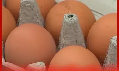 ਅਮਰੀਕਾ: ਆਂਡਿਆਂ ਚ ਸਾਲਮੋਨੇਲਾ ਬੈਕਟੀਰੀਆ, 1.7 ਮਿਲੀਅਨ ਆਂਡੇ ਵਾਪਸ ਮੰਗਵਾਏ