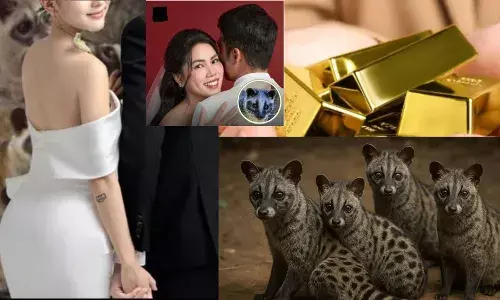 ਲਾੜੀ ਨੂੰ ਦਾਜ ’ਚ 58 ਲੱਖ ਦੀਆਂ ਬਿੱਲੀਆਂ ਤੇ 25 ਸੋਨੇ ਦੀਆਂ ਇੱਟਾਂ ਮਿਲੀਆਂ