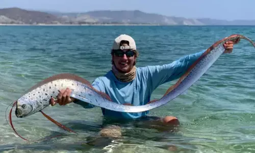 ਇਸ ਮੱਛੀ ਦੇ ਦਿਸਣ ਮਗਰੋਂ ਕਿਉਂ ਡਰ ਰਹੇ ਪੂਰੀ ਦੁਨੀਆ ਦੇ ਲੋਕ