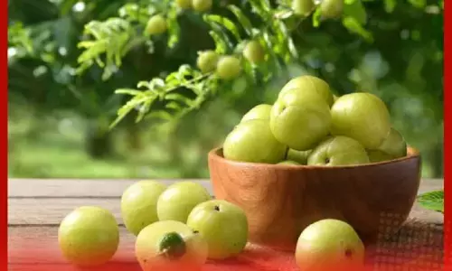 ਇੱਕ ਦਿਨ ਵਿੱਚ ਕਿੰਨੇ ਆਂਵਲੇ ਖਾਣੇ ਚਾਹੀਦੇ ਹਨ? ਜਾਣੋ ਆਂਵਲੇ ਦੇ ਸਿਹਤਮੰਦ ਫਾਇਦੇ