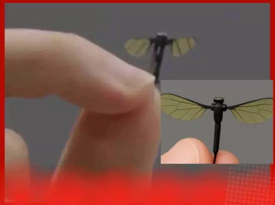 ਗੁਪਤ ਫੌਜੀ ਮਿਸ਼ਨਾਂ ਲਈ ਚੀਨ ਦਾ ਨਵਾਂ ਮੱਛਰ-ਸਾਈਜ਼ ਡਰੋਨ, ਕਈ ਦੇਸ਼ਾਂ ਪਏ ਸੋਚਾਂ ਵਿਚ