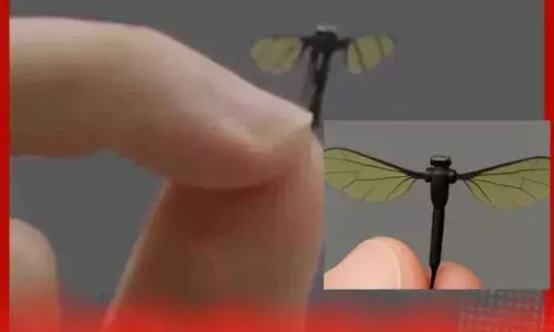 ਗੁਪਤ ਫੌਜੀ ਮਿਸ਼ਨਾਂ ਲਈ ਚੀਨ ਦਾ ਨਵਾਂ ਮੱਛਰ-ਸਾਈਜ਼ ਡਰੋਨ, ਕਈ ਦੇਸ਼ਾਂ ਪਏ ਸੋਚਾਂ ਵਿਚ