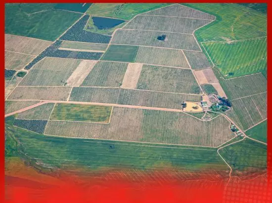 MP ਦੇ ਡਰਾਈਵਰ ਨੂੰ 150 ਕਰੋੜ ਰੁਪਏ ਦੀ ਜ਼ਮੀਨ ਤੋਹਫ਼ੇ ਵਜੋਂ ਕੌਣ ਦੇ ਗਿਆ?